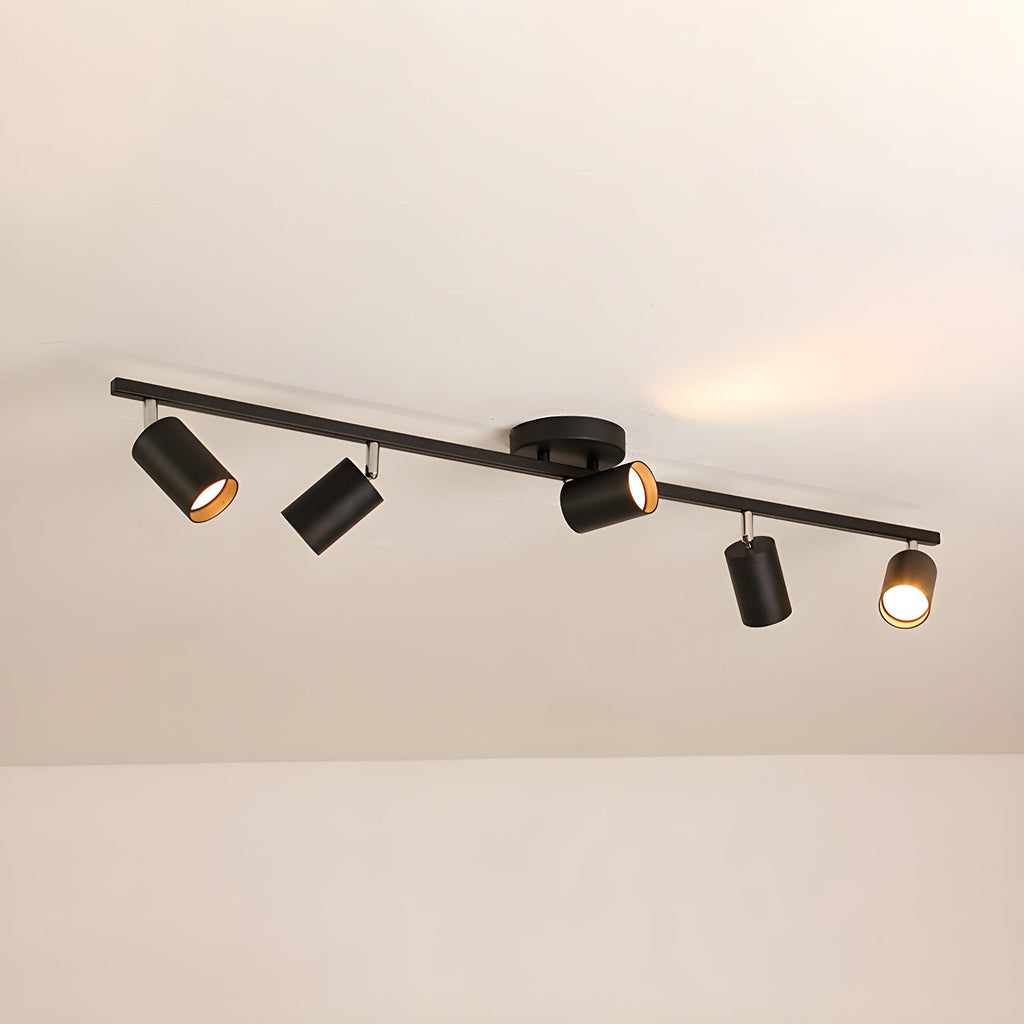 Decorative Ceiling Lights for Living Spaces & Galleries