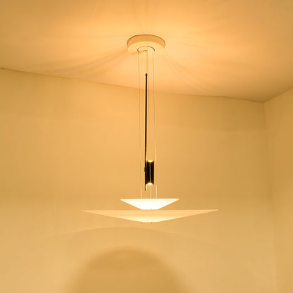 Avelon Aviary Chandelier