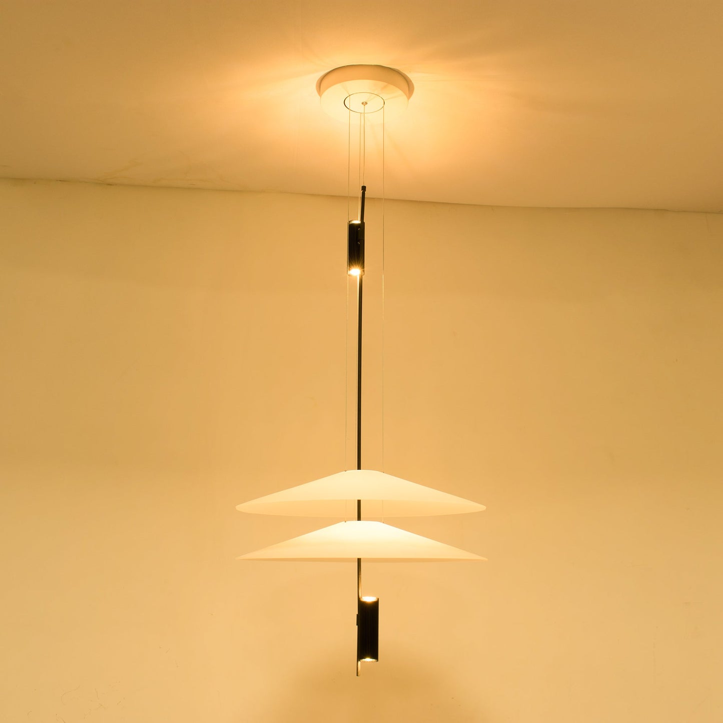 Avelon Aviary Chandelier
