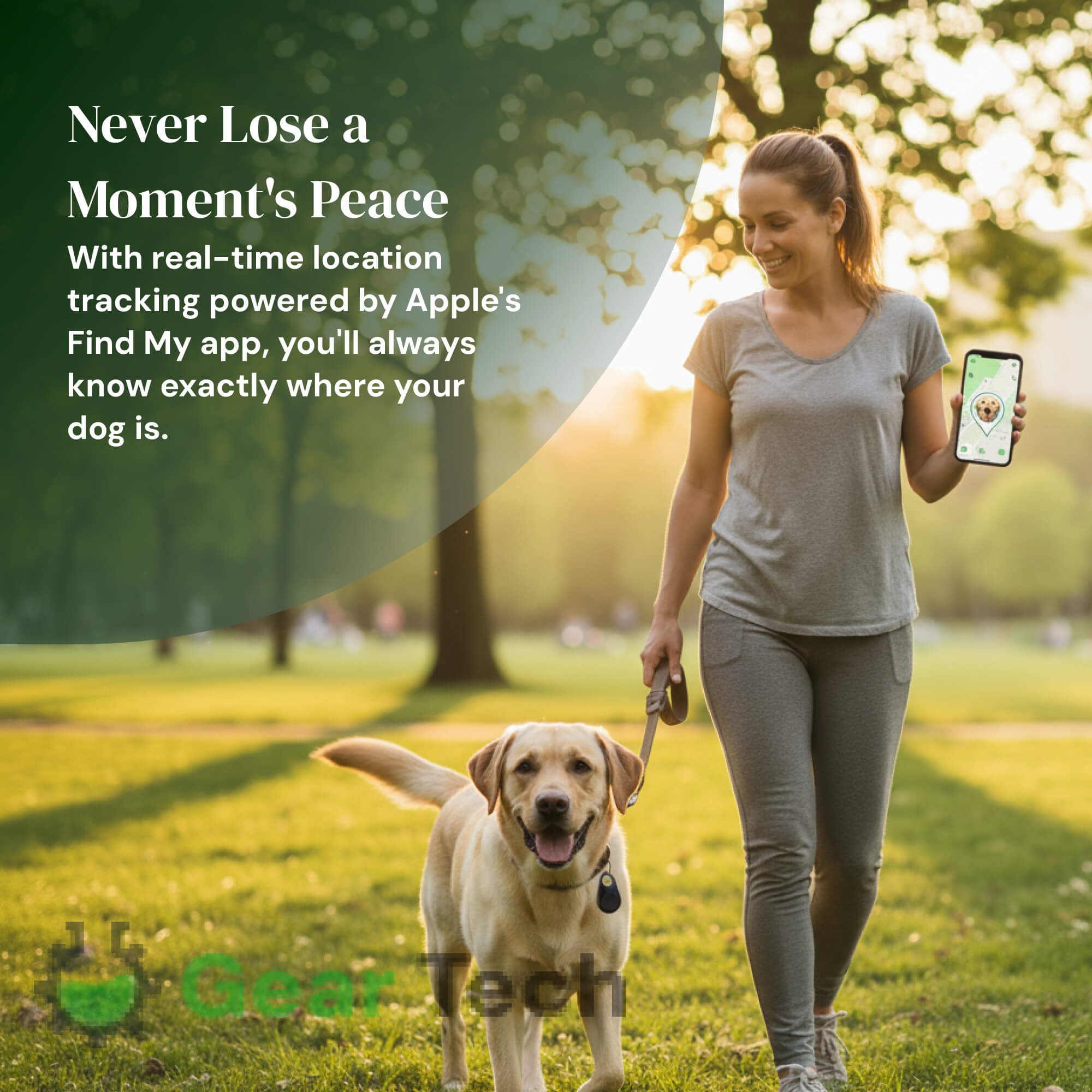 Reliable Dog GPS Tracker No Monthly Fees, Real‑Time Location Updates