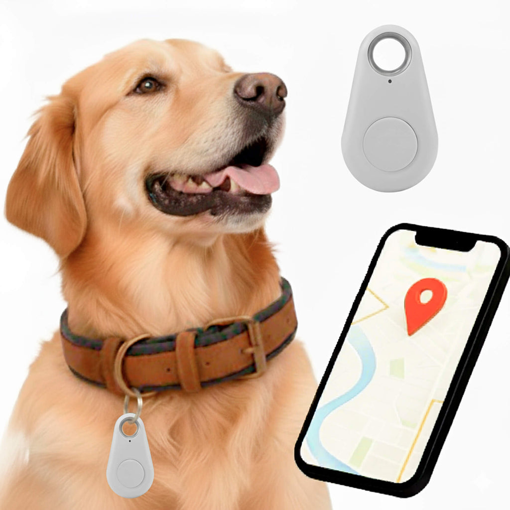 Reliable Dog GPS Tracker No Monthly Fees, Real‑Time Location Updates