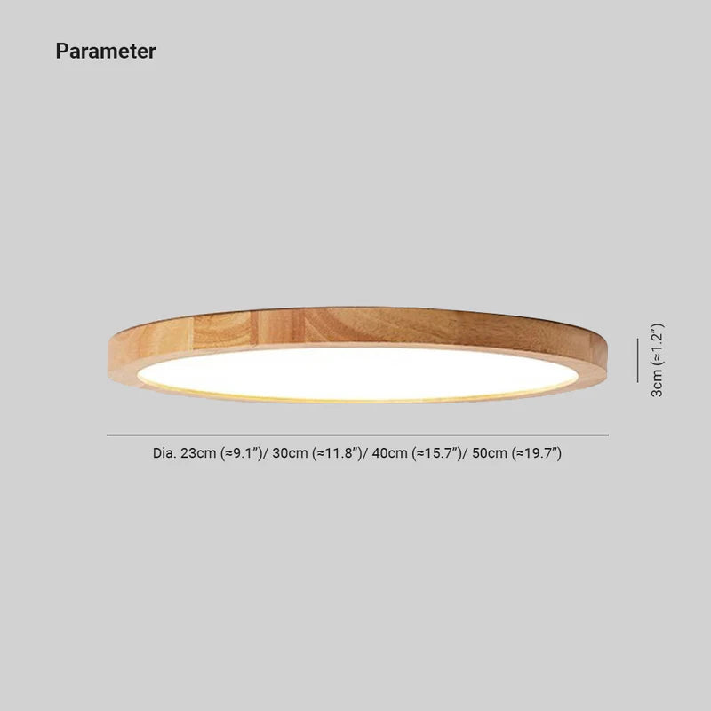 Modern LED Ceiling Light Slim Dimmable Home Lighting