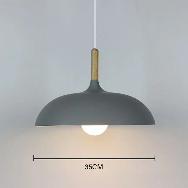 Nordic Style Pendant Light Modern Hanging Ceiling Lamp