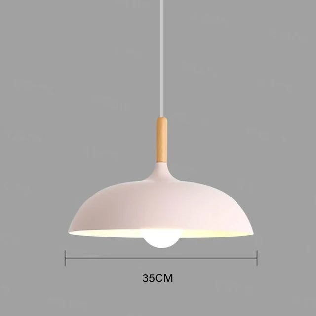Nordic Style Pendant Light Modern Hanging Ceiling Lamp