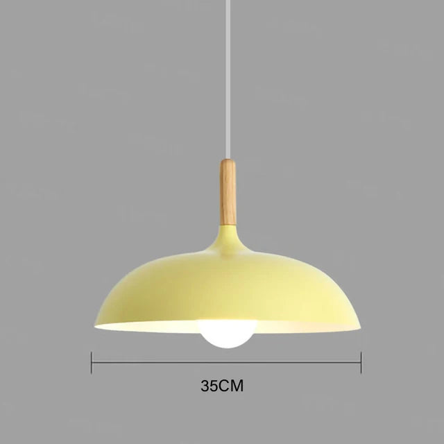 Nordic Style Pendant Light Modern Hanging Ceiling Lamp
