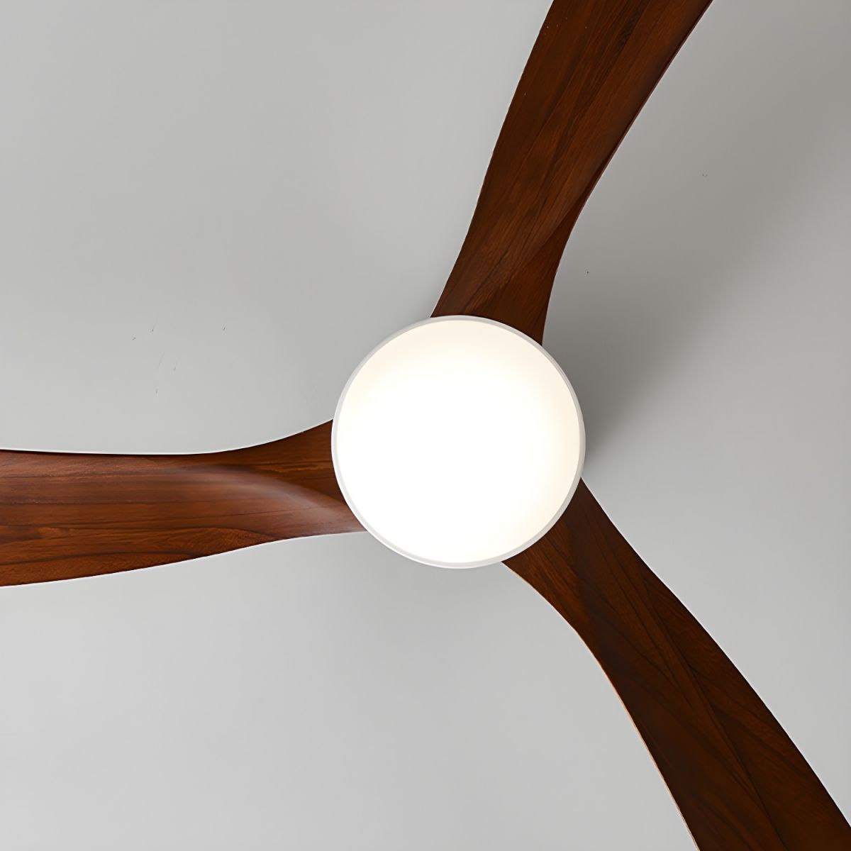 Modern Ceiling Fan with LED Light and Remote
