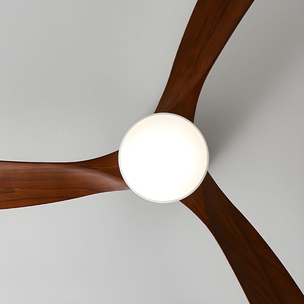 Modern Ceiling Fan with LED Light and Remote