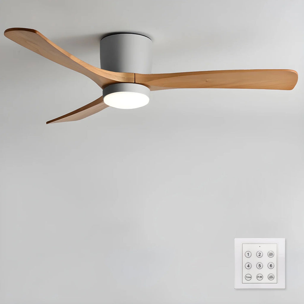Modern Ceiling Fan with LED Light and Remote