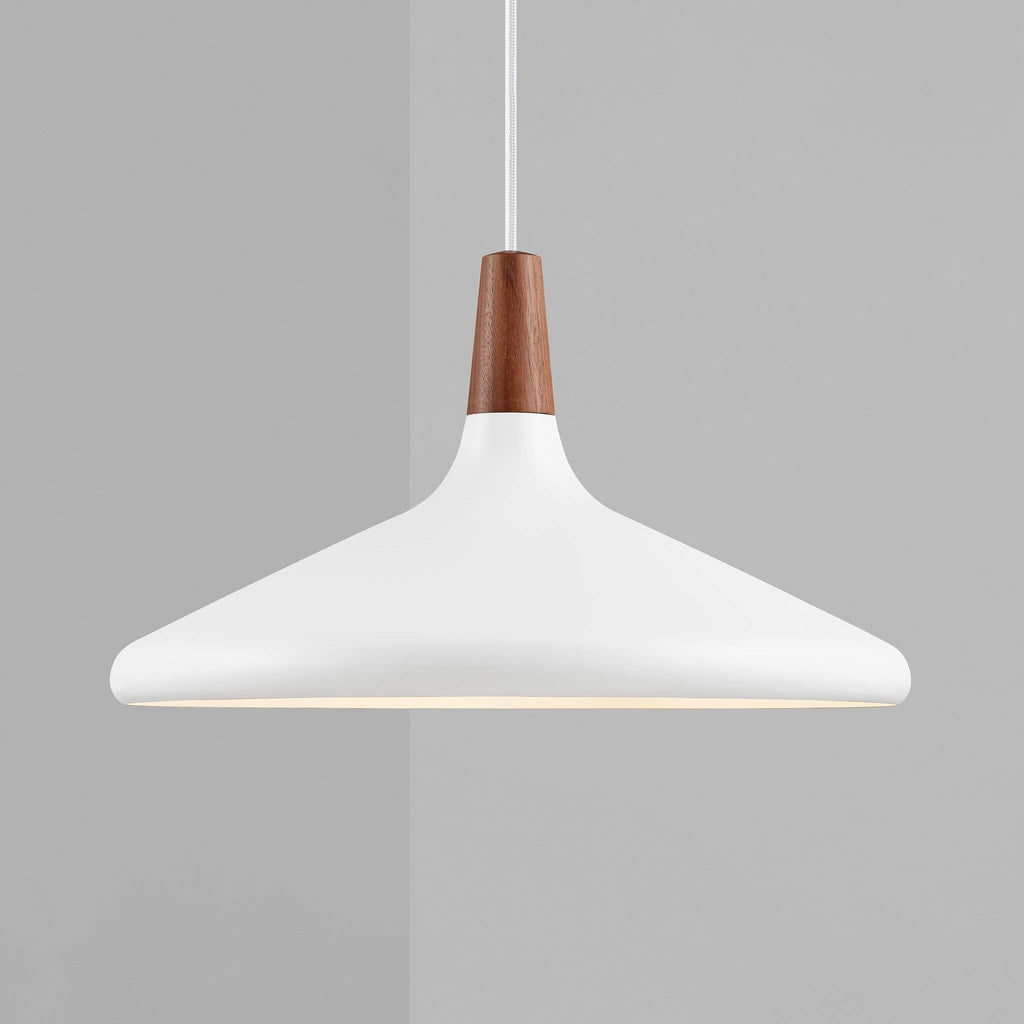 Modern Minimalist Pendant Light Ceiling Lamp for Dining & Living Room