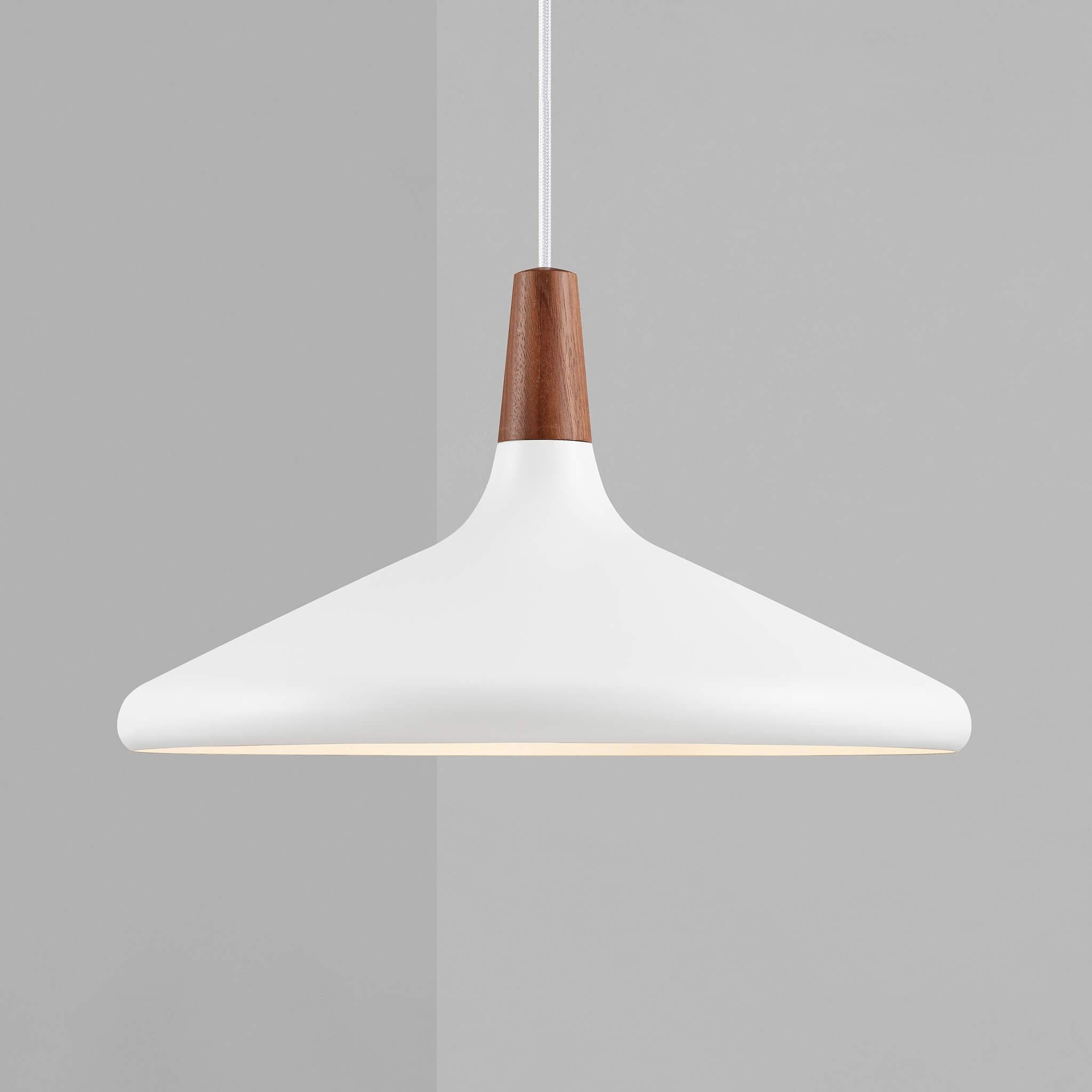 Modern Minimalist Pendant Light Ceiling Lamp for Dining & Living Room