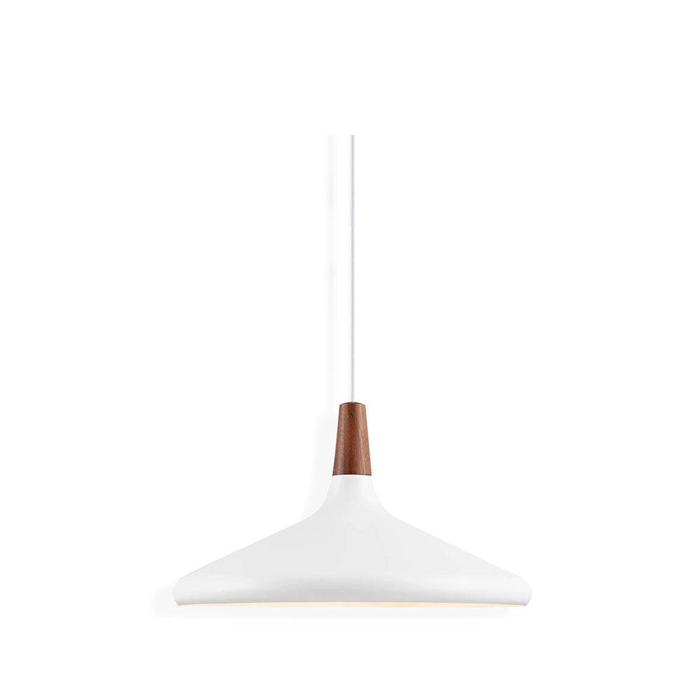 Modern Minimalist Pendant Light Ceiling Lamp for Dining & Living Room