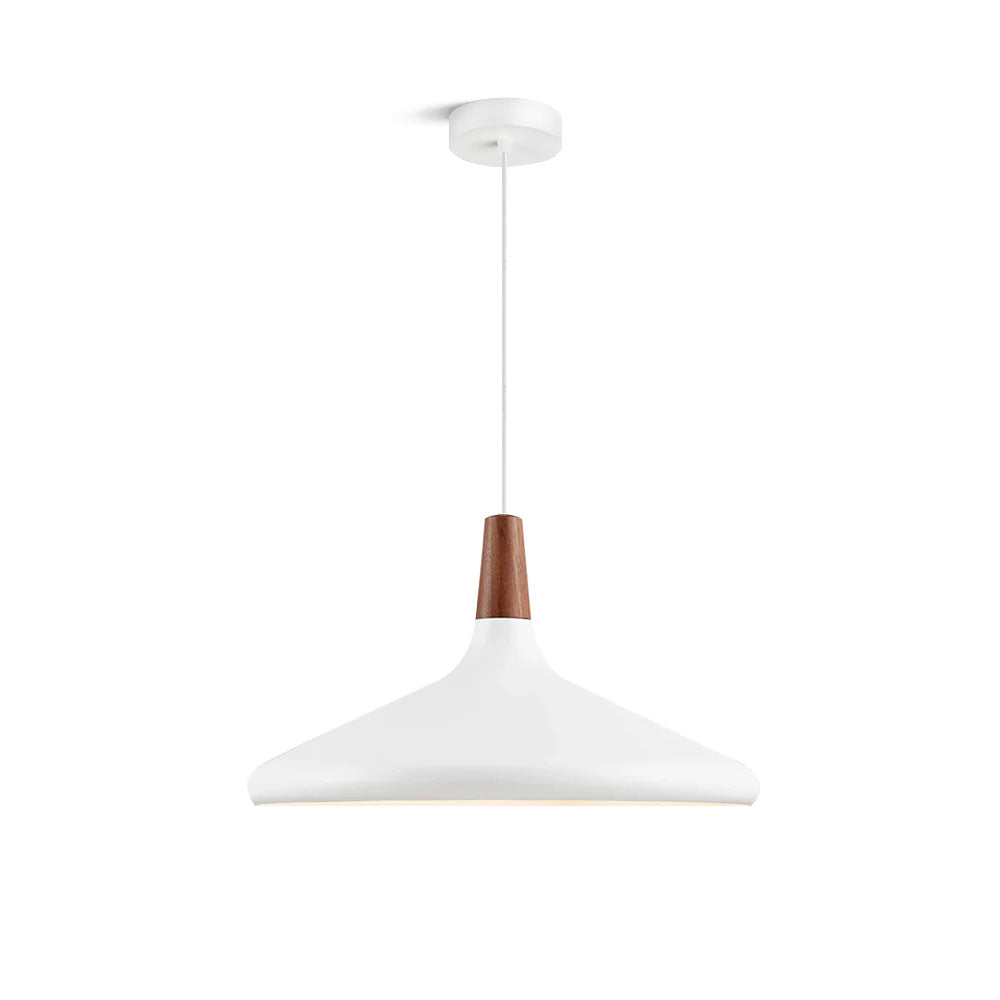 Modern Minimalist Pendant Light Ceiling Lamp for Dining & Living Room