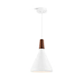 Modern Minimalist Pendant Light Ceiling Lamp for Dining & Living Room