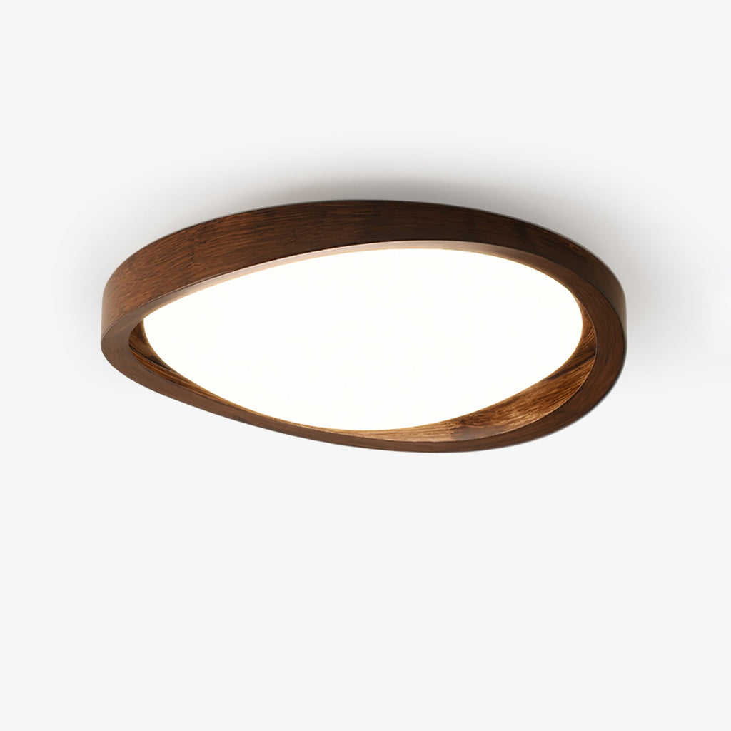Decorative Ceiling Lights for Warm Ambience