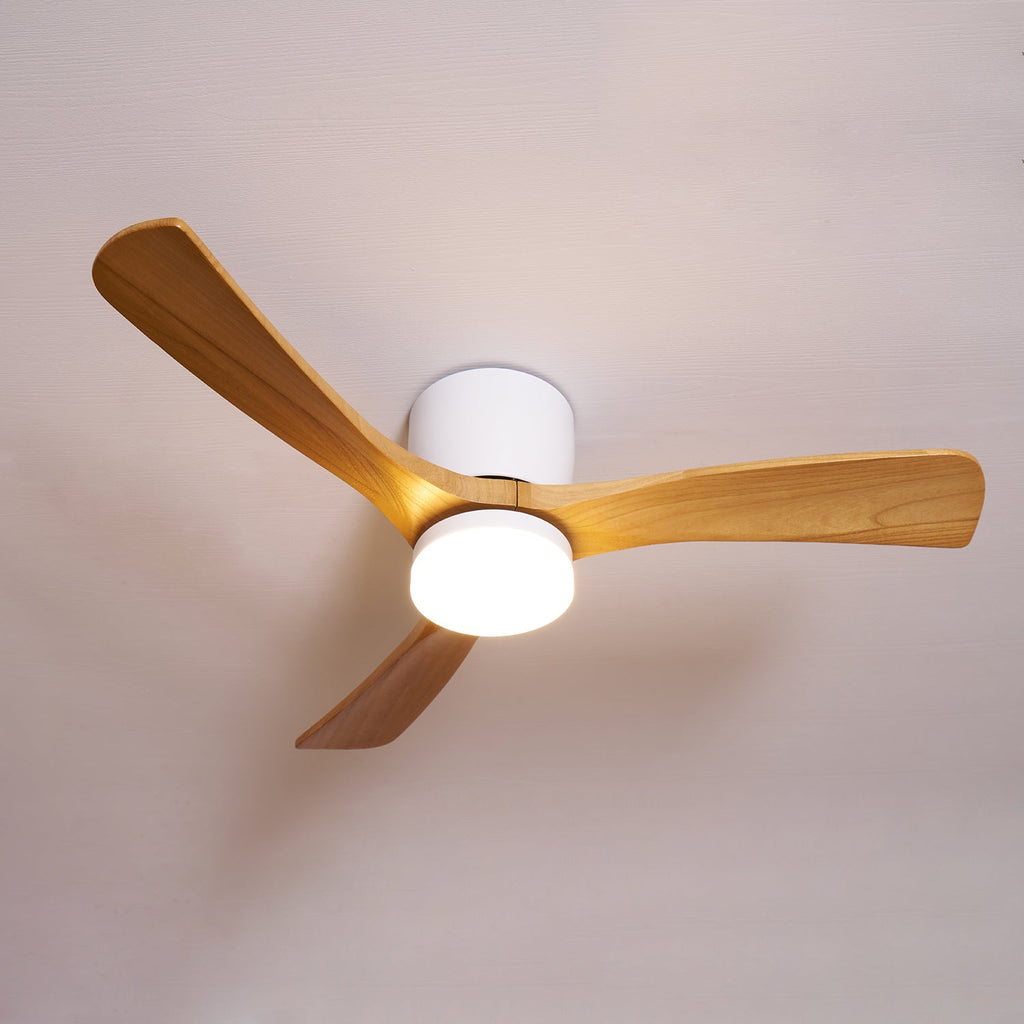Modern Ceiling Fan with LED Light and Remote