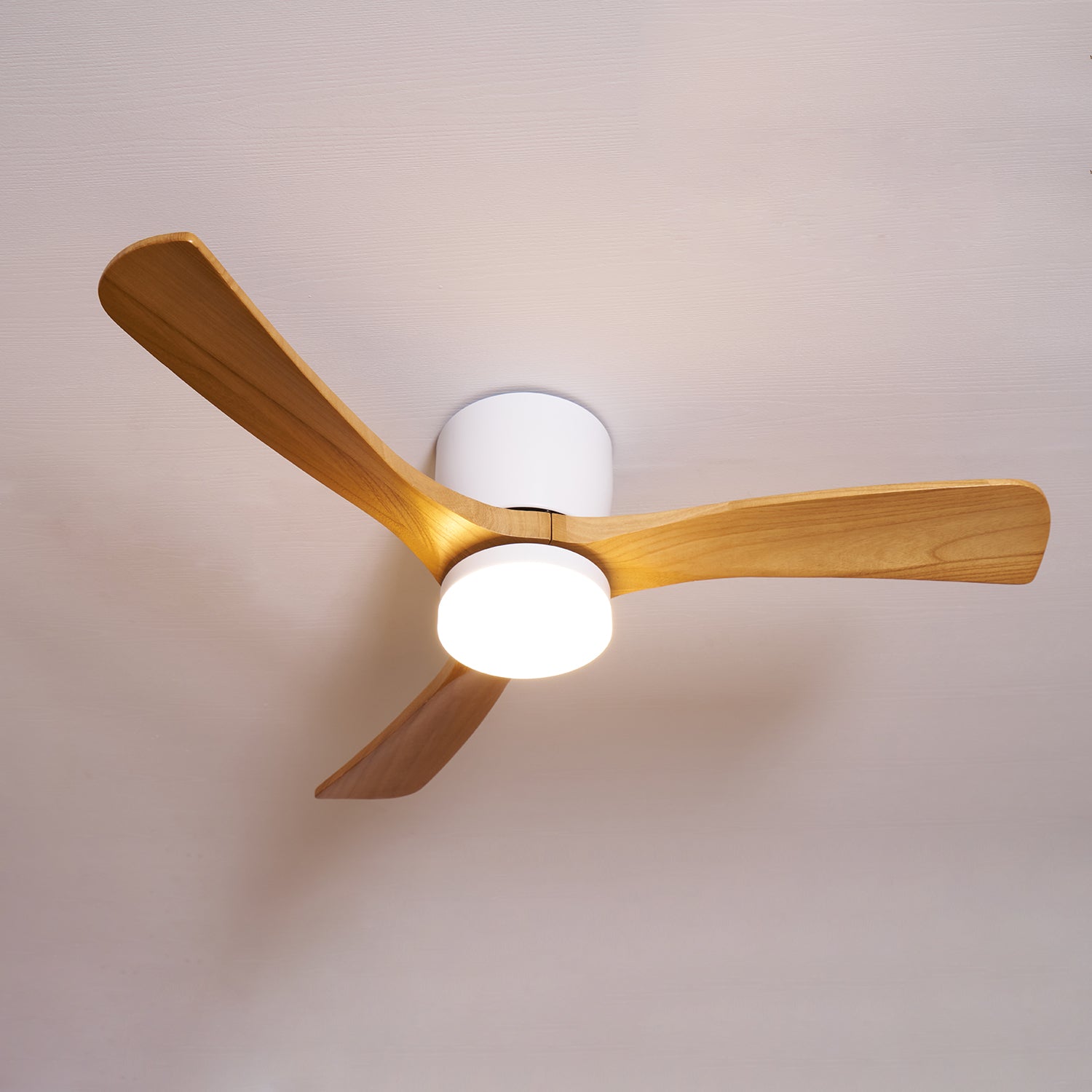 Modern Ceiling Fan with LED Light and Remote