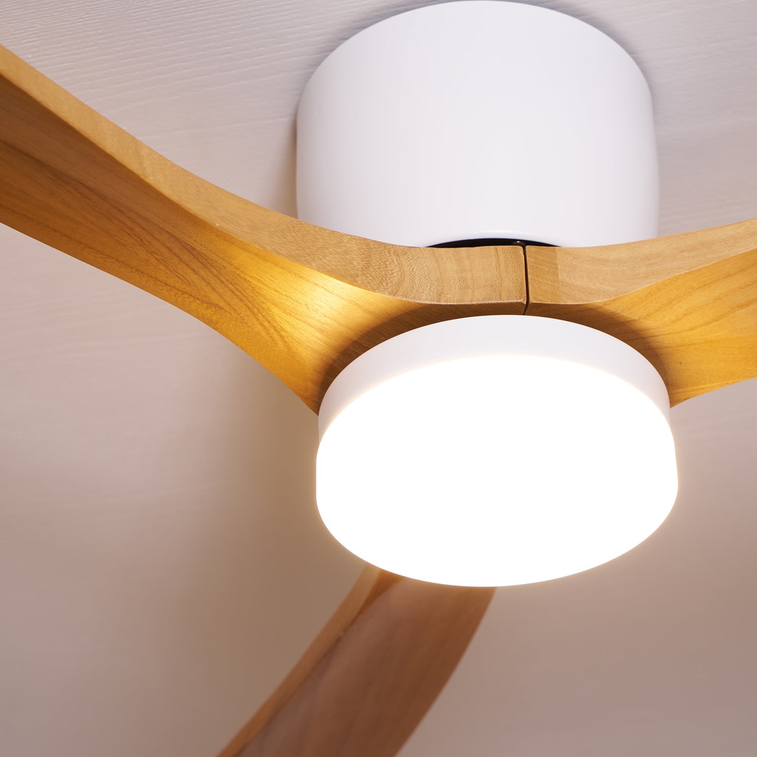 Modern Ceiling Fan with LED Light and Remote