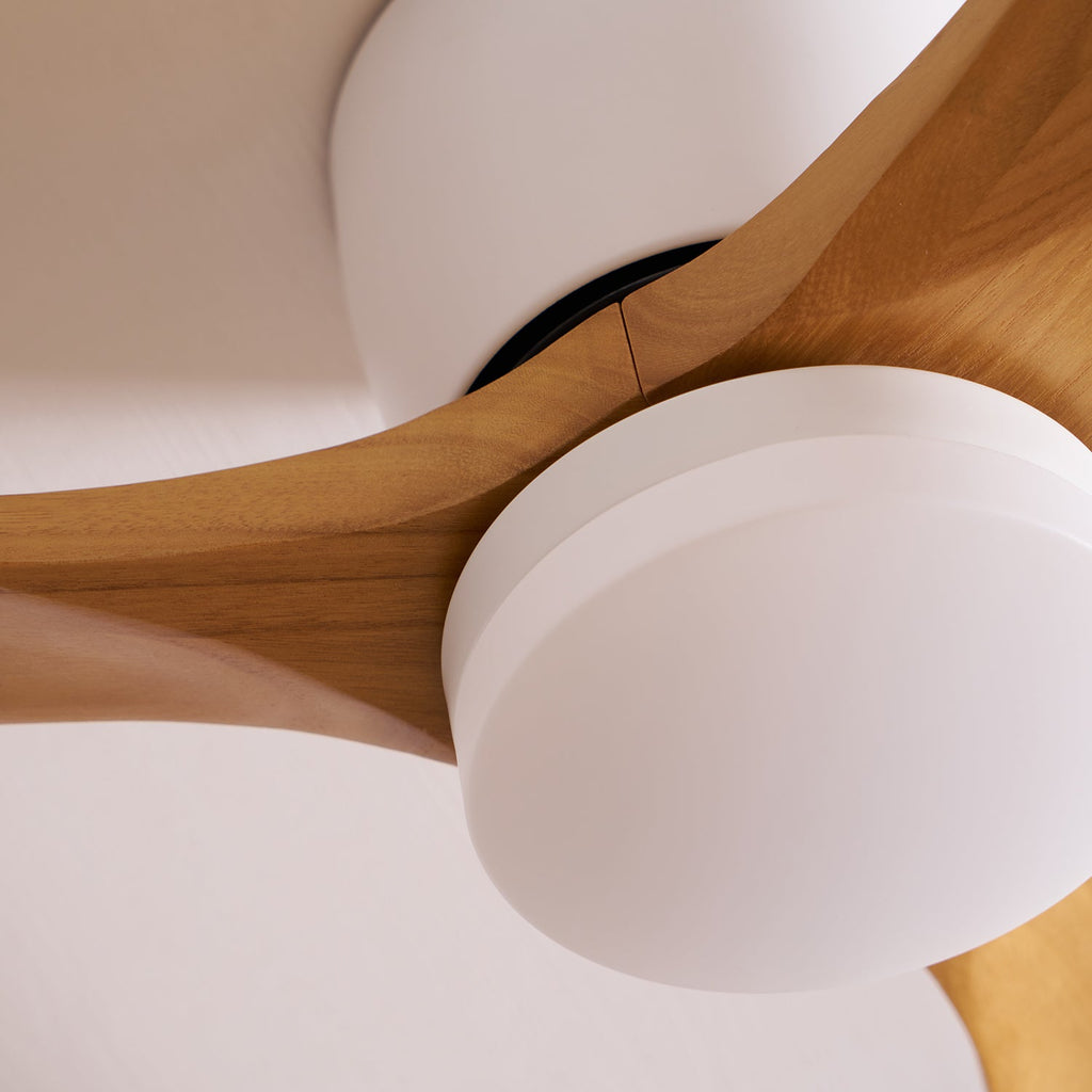 Modern Ceiling Fan with LED Light and Remote