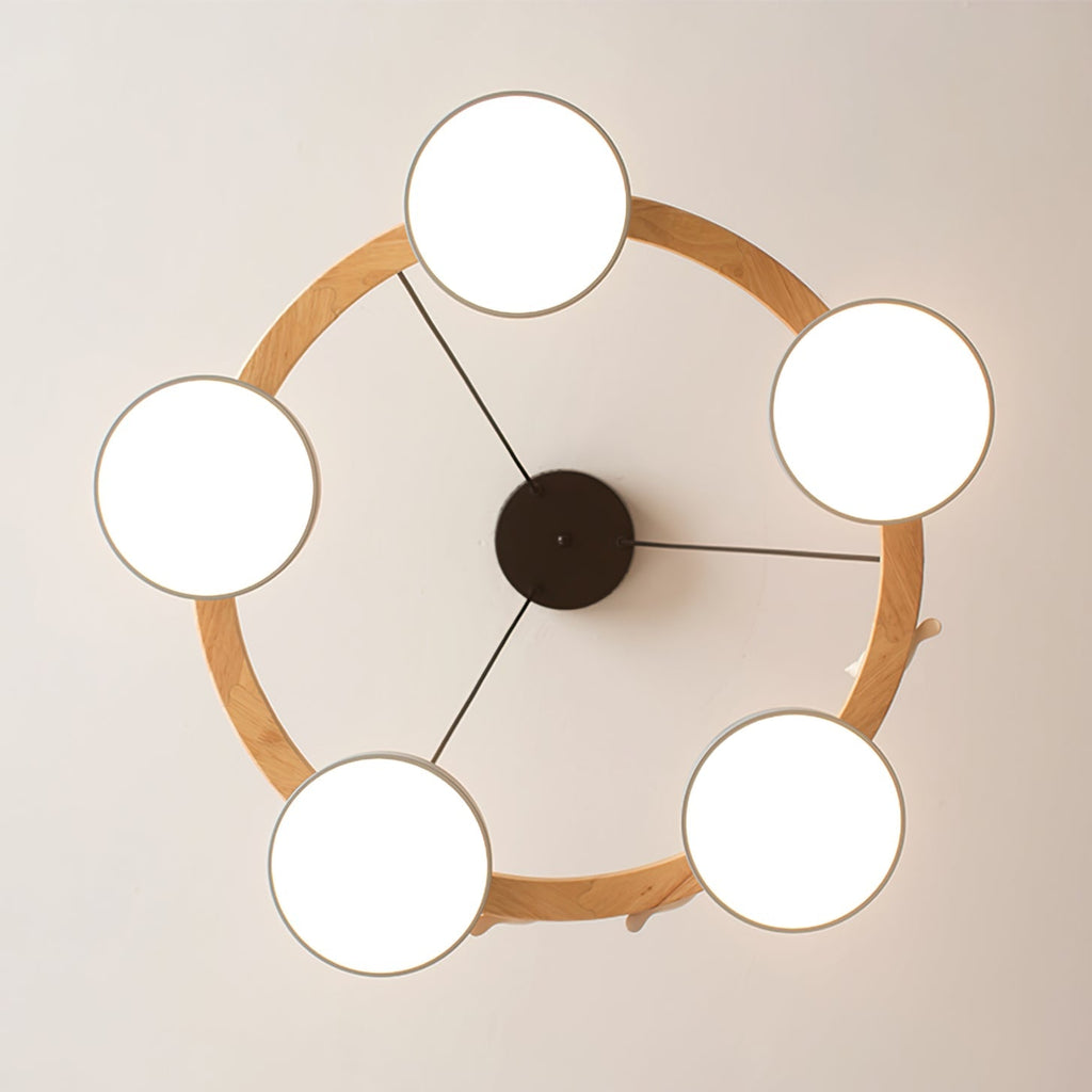 Round Bird Design LED Chandelier Decorative Ceiling Light