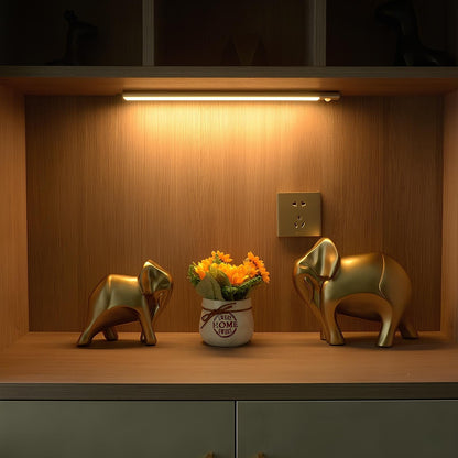 Wireless Rechargeable Light Bar Motion-Activated LED for Indoor Use