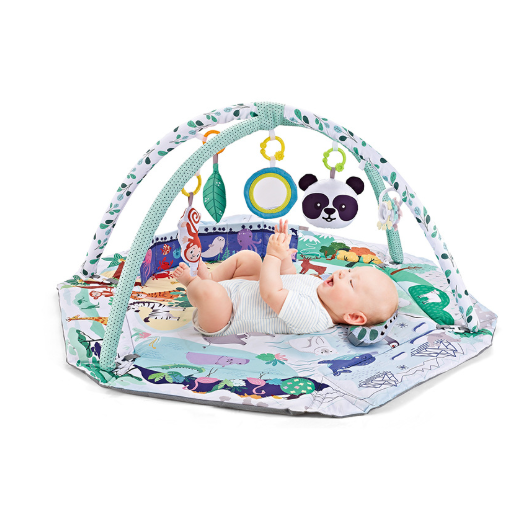 Baby Play Mat and Gym with Overhead Arches Hanging Toys and Activity Center - Image 1