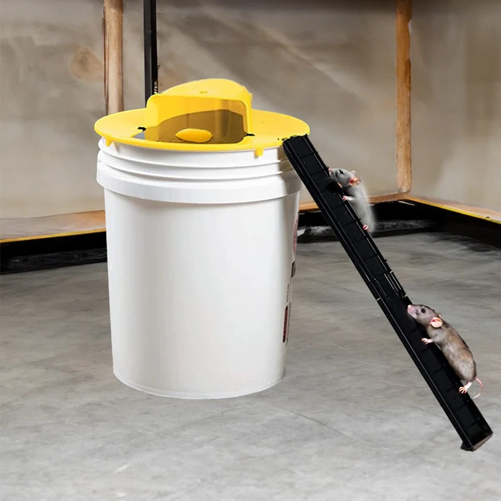 Bucket Mouse Trap with Automatic Reset and Multi-Catch Humane Ethical Design Adhesive - Image 1