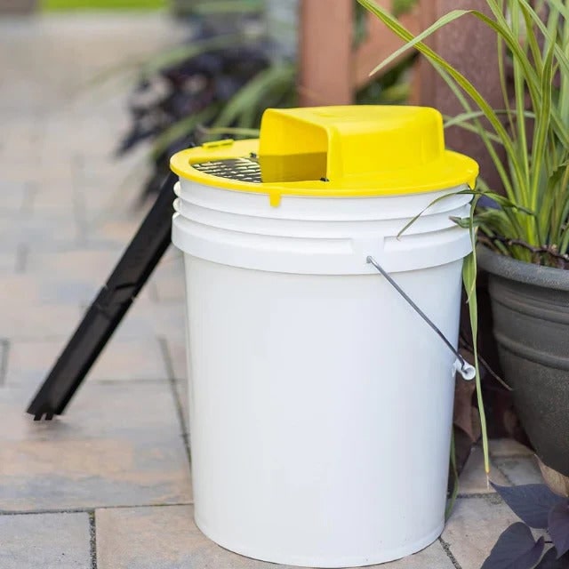 Bucket Mouse Trap with Automatic Reset and Multi-Catch Humane Ethical Design Adhesive - Image 2