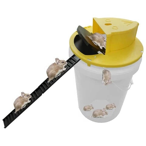 Bucket Mouse Trap with Automatic Reset and Multi-Catch Humane Ethical Design Adhesive - Image 5
