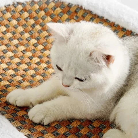 Cat Scratcher Bed with Heated Bolster Self Warming Sisal Mat and Oval Sherpa Fleece Design - Image 2
