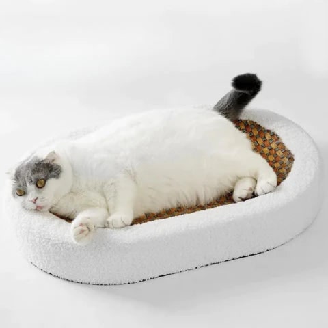 Cat Scratcher Bed with Heated Bolster Self Warming Sisal Mat and Oval Sherpa Fleece Design - Image 3