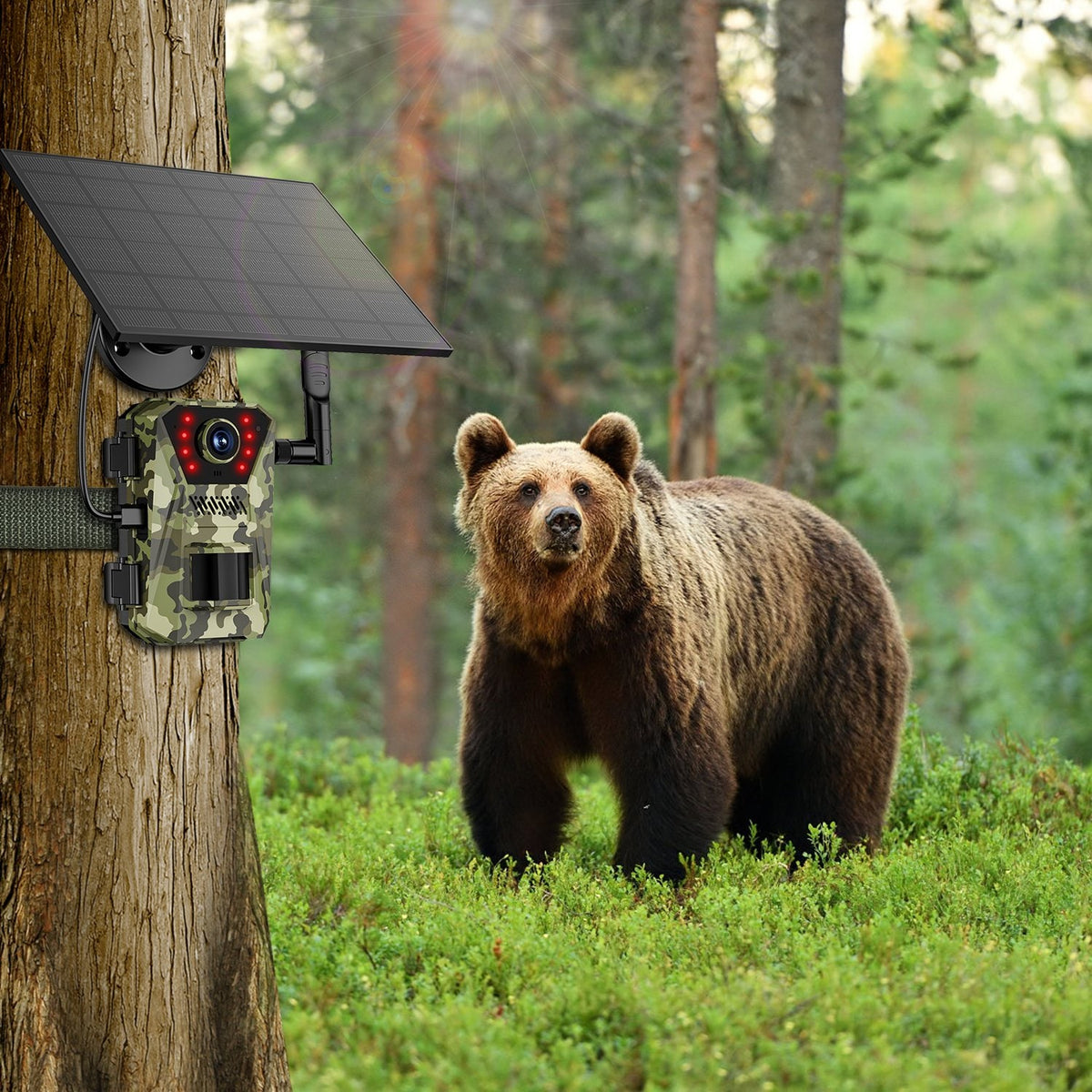 Cellular Trail Wildlife Camera with Solar Panel 4K Night Vision and Wireless Cell Connection - Image 3