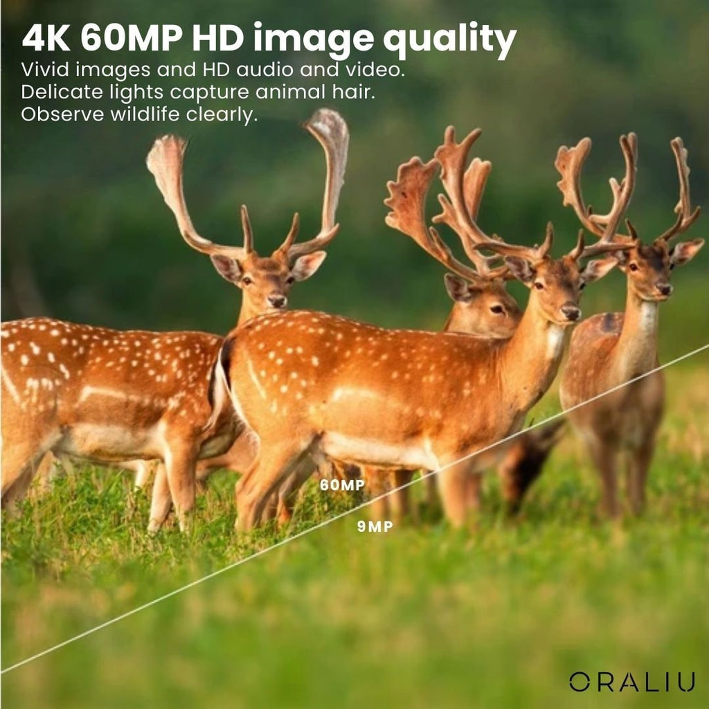 Cellular WIFI Trail Camera with Night Vision and Infrared LED for Wildlife Monitoring - Image 10