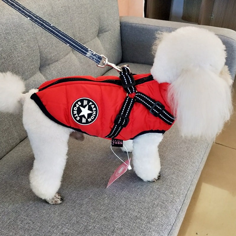 Cold Weather Dog Jacket with Harness Waterproof Padded Puffer Coat for Winter - Image 10