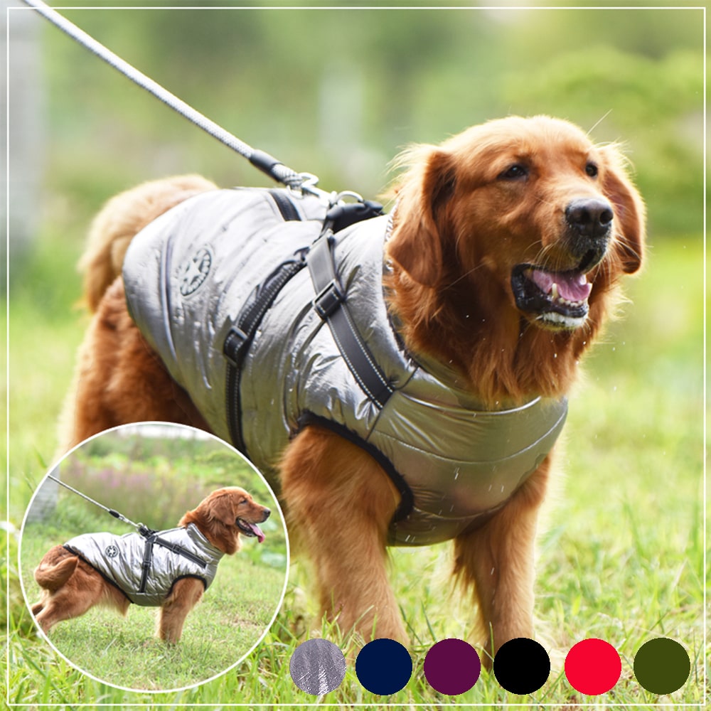 Cold Weather Dog Jacket with Harness Waterproof Padded Puffer Coat for Winter - Image 13