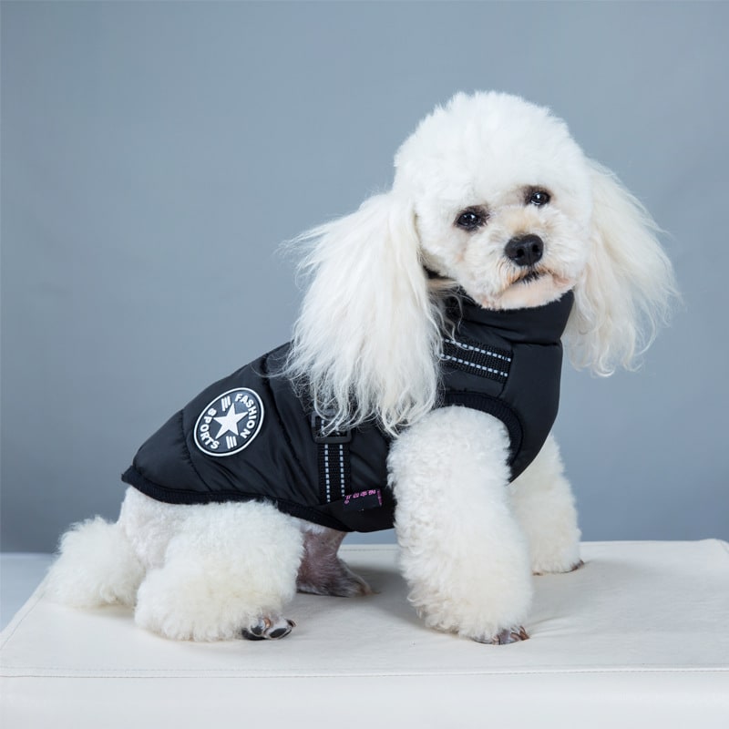 Cold Weather Dog Jacket with Harness Waterproof Padded Puffer Coat for Winter - Image 3