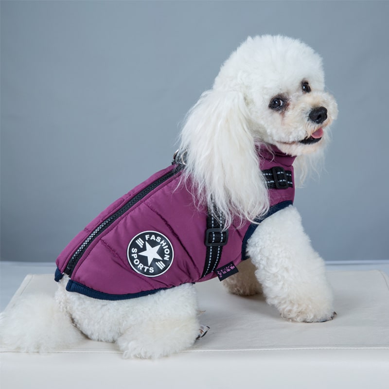 Cold Weather Dog Jacket with Harness Waterproof Padded Puffer Coat for Winter - Image 8