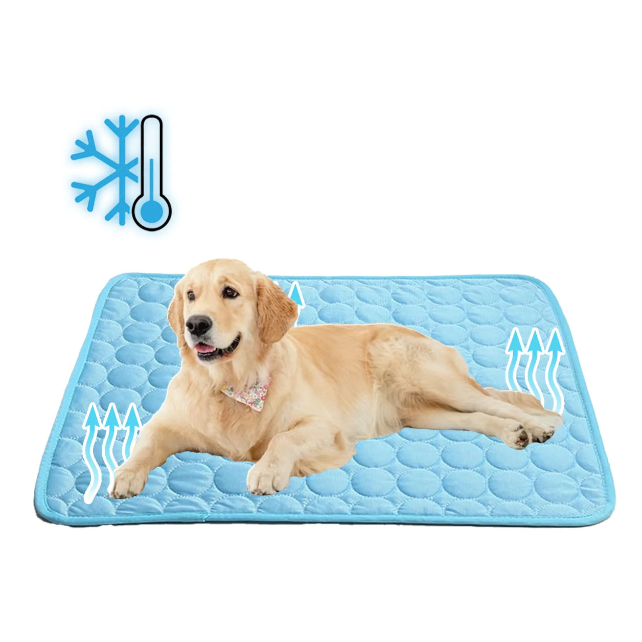 Portable Cooling Rest Mat for Dogs and Cats