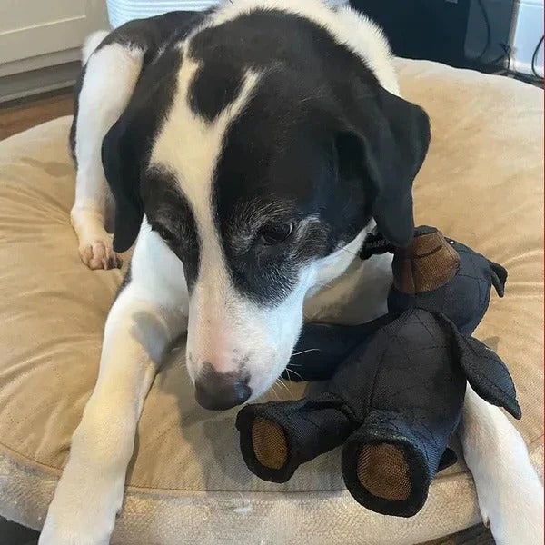 Dog Chew Toys Really Tough and Durable with Reinforced Seams for Aggressive Chewers Puzzle - Image 5