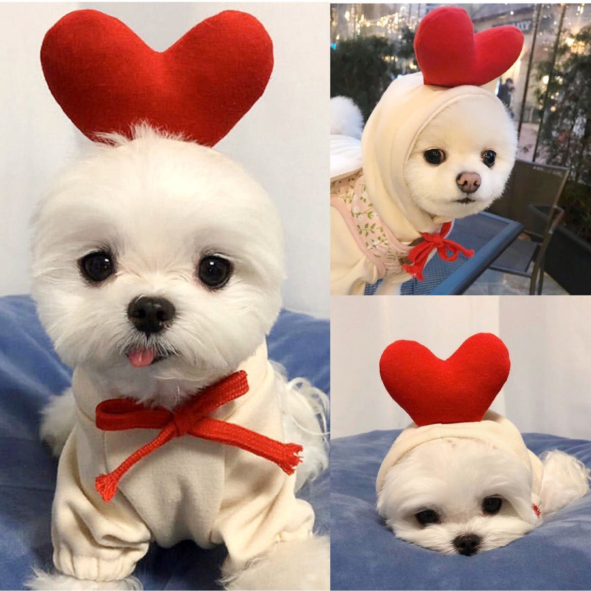 Dog Clothes Hoodie with Fleece and Novelty Hood Designs for Small Sweaters - Image 1