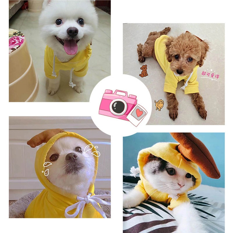 Dog Clothes Hoodie with Fleece and Novelty Hood Designs for Small Sweaters - Image 12
