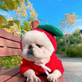 Dog Clothes Hoodie with Fleece and Novelty Hood Designs for Small Sweaters - Image 14
