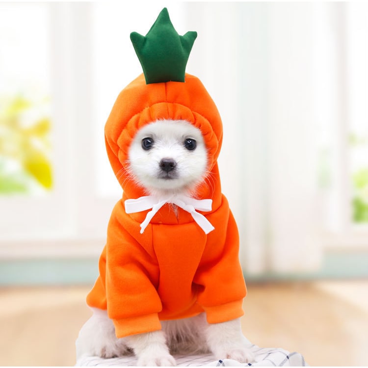Dog Clothes Hoodie with Fleece and Novelty Hood Designs for Small Sweaters - Image 8