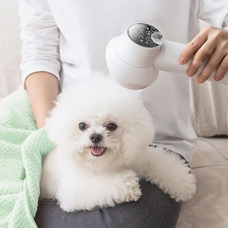 Dog Hair Dryer with Slicker Brush and Digital Temperature Control And Diffuser - Image 3