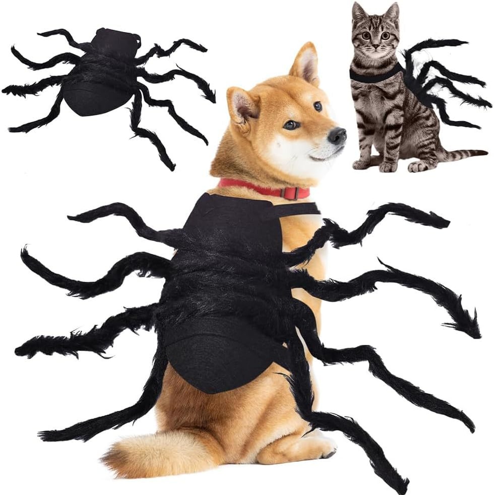 Dog Halloween Spider Costume with Adjustable Straps - Image 1