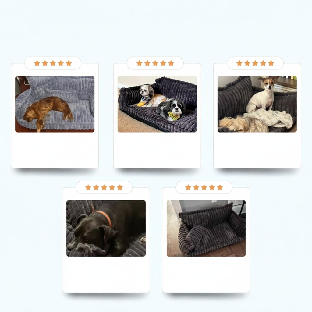 Dog Sofa Bed Washable Pet Plush Bolster Raised Edges Pillow Orthopedic - Image 6