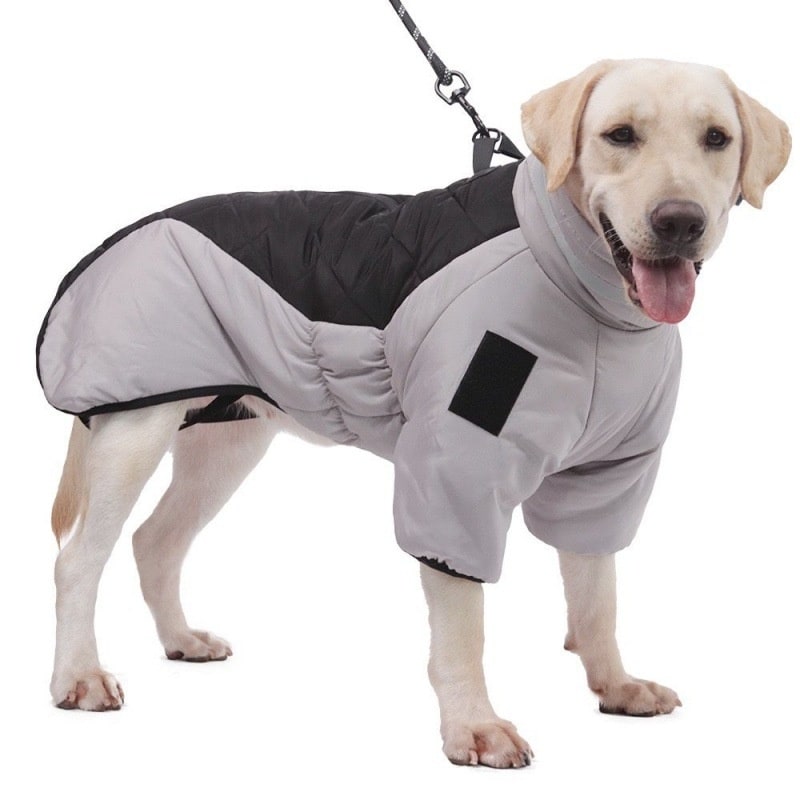 Dog Winter Coat with Water Resistant Fabric and High Collar for Large - Image 6