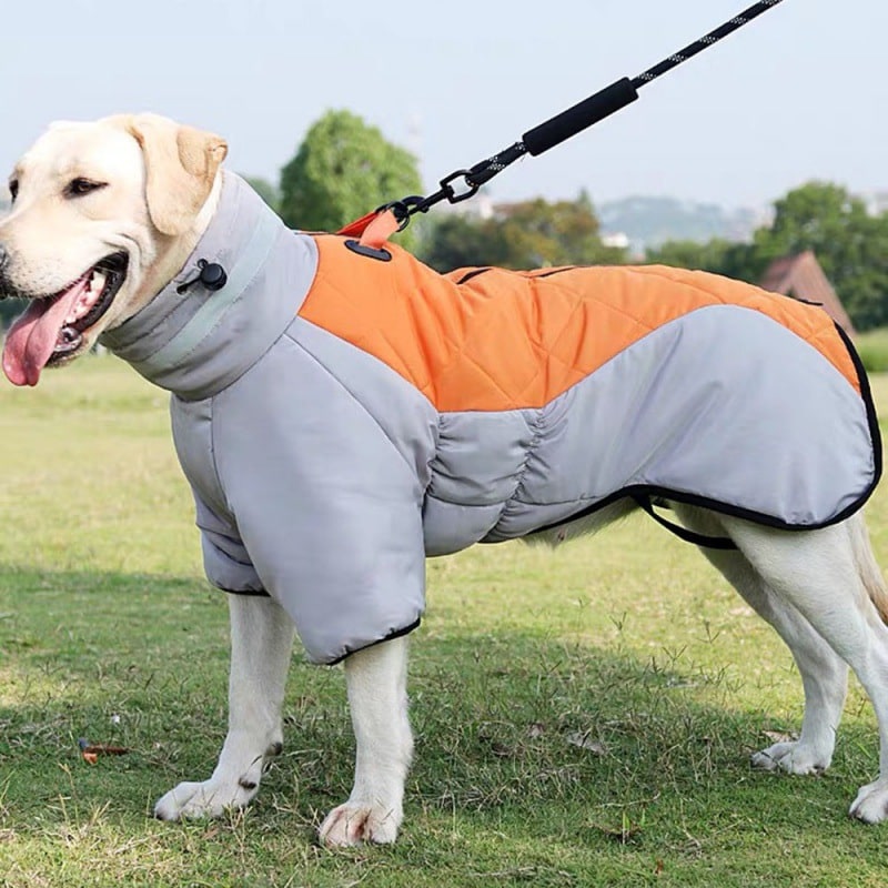 Dog Winter Coat with Water Resistant Fabric and High Collar for Large - Image 8