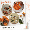Embroidery Punch Needle Kit Interchangeable Metal Set - Image 1