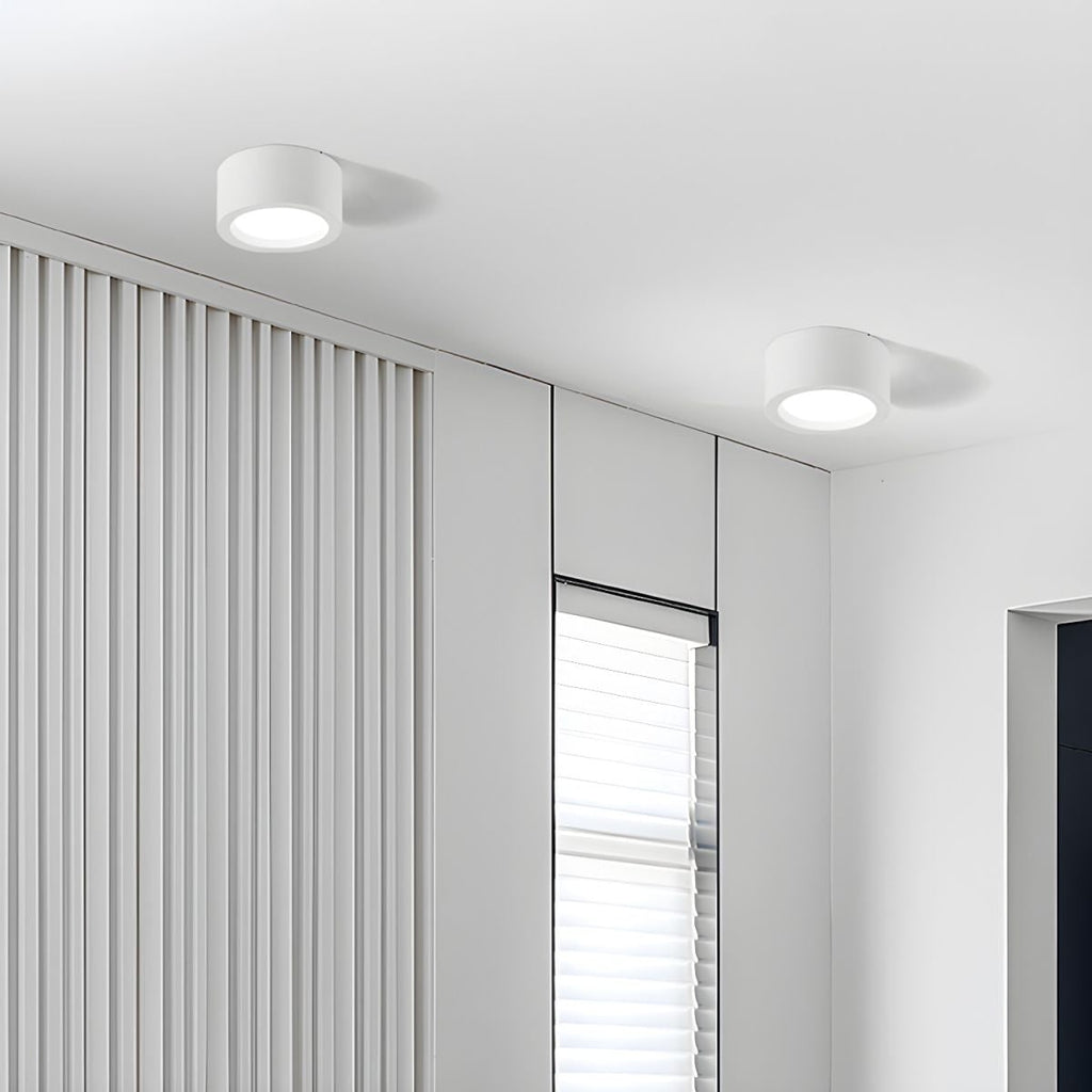 Flush Mount Ceiling Light Metal Cylinder LED Surface Mounted Modern - Image 4