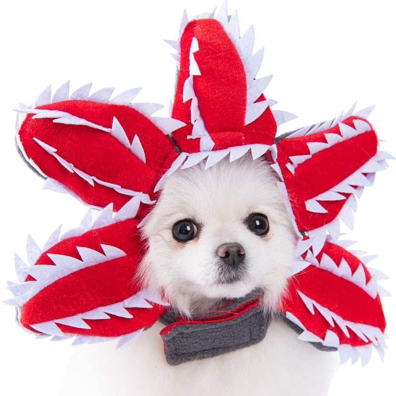 Funny Dog Costume with Novelty Holiday Designs and Adjustable Closures Halloween - Image 1